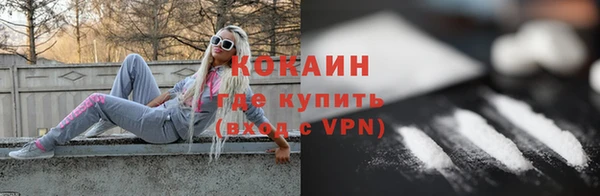 spice Богородск