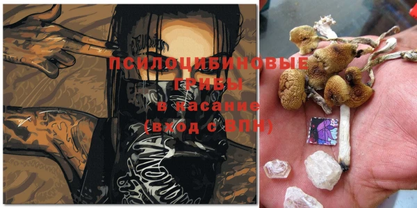 не бодяженный Белокуриха