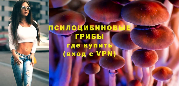 твердый Богородицк