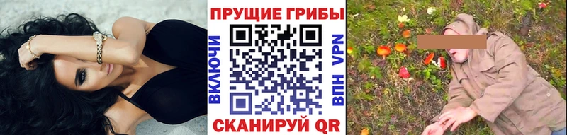 Галлюциногенные грибы Cubensis  Воркута 