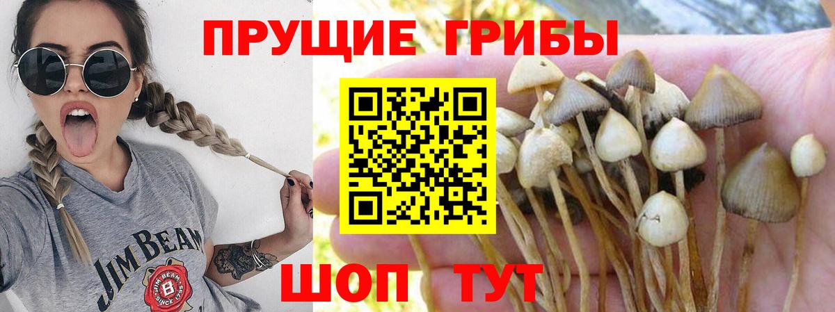 Воркута  Псилоцибиновые грибы Cubensis  Галлюциногенные грибы Magic Shrooms  Вход с VPN 