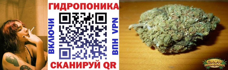 Бошки Шишки гибрид  цена наркотик  mega ССЫЛКА  Воркута 